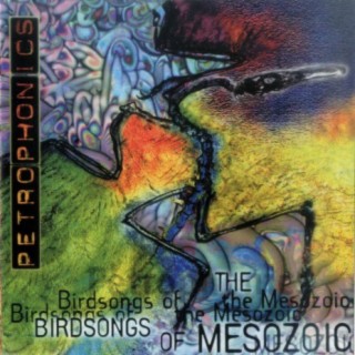 Birdsongs of the Mesozoic