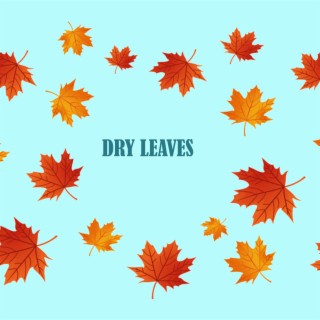 Dry Leaves(Chill Lofi)