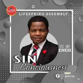 Sin Conciousness