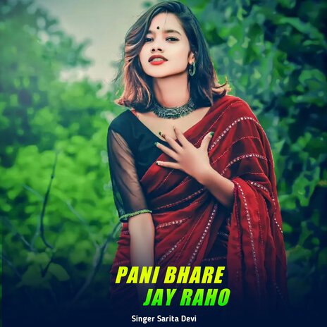 Pani Bhare Jay Raho | Boomplay Music