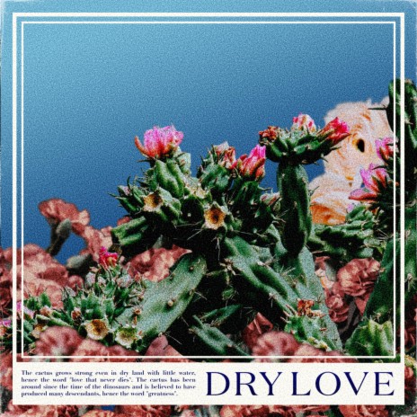 DRY LOVE | Boomplay Music