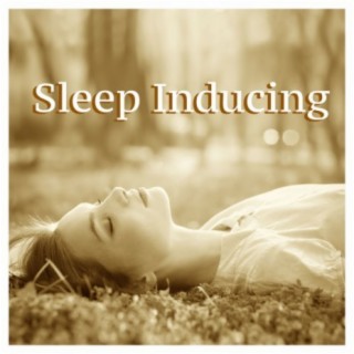 Sleep Inducing: Music for Deep Sleep and Fight Insomnia with Sea Waves, Thunderstorms and Rain