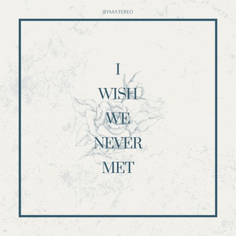 I Wish We Never Met | Boomplay Music