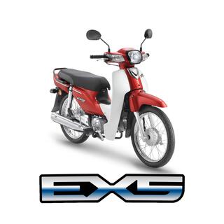 EX5