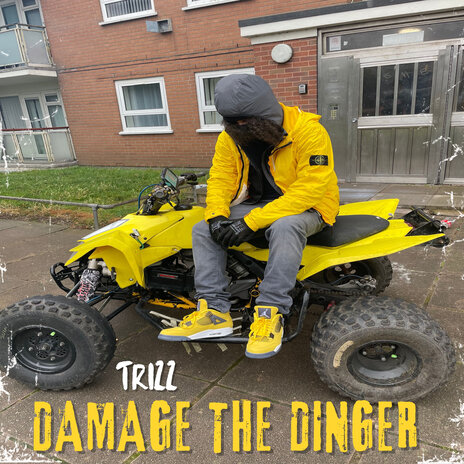 Damage the Dinger | Boomplay Music