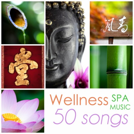 Wellness Spa Music