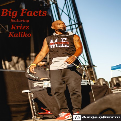 Big Facts ft. Krizz Kaliko | Boomplay Music