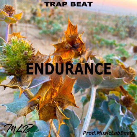 Endurance (Trap Beat) | Boomplay Music