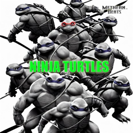 Ninja Turtles | Boomplay Music