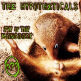 The Hypotheticals
