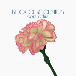 Book of Acoustics