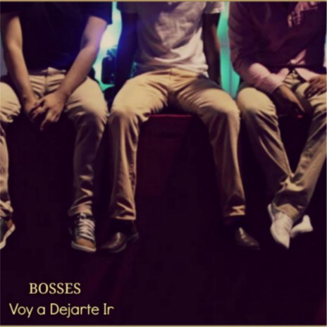 Voy a Dejarte Ir | Boomplay Music