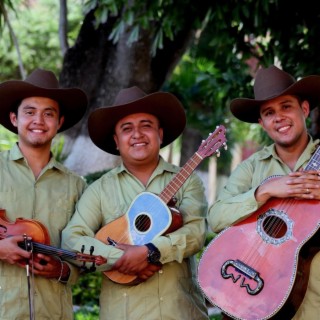 Caimanes del Río Tuxpan