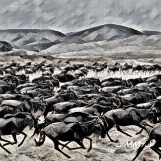 Stampede