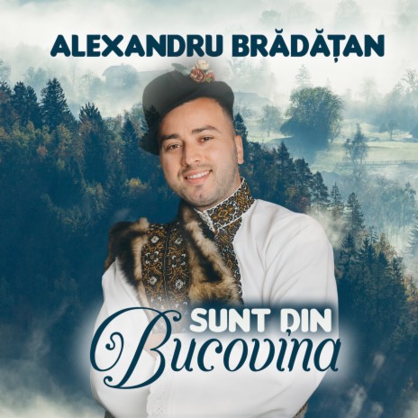 Sunt din Bucovina | Boomplay Music