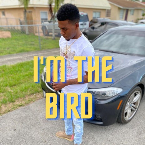 I'm the Bird | Boomplay Music