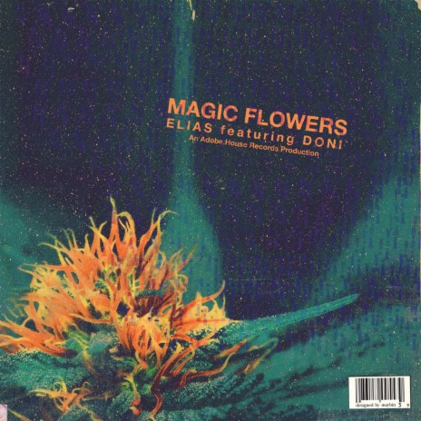 Magic Flowers ft. Doni | Boomplay Music