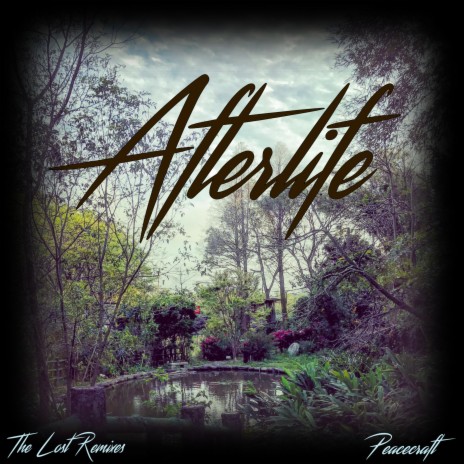 Afterlife (Festival Remix)