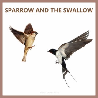 SPARROW AND THE SWALLOW
