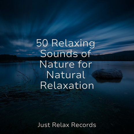 Flowing Peaceful Slumber ft. Nursery Rhymes Club & Meditación Guiada | Boomplay Music