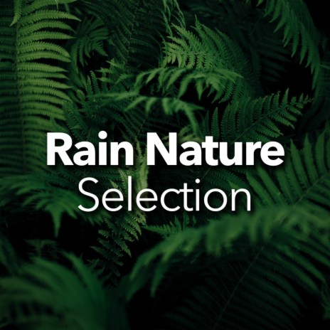 Rain Rain Rain (No Audio Fades) | Boomplay Music