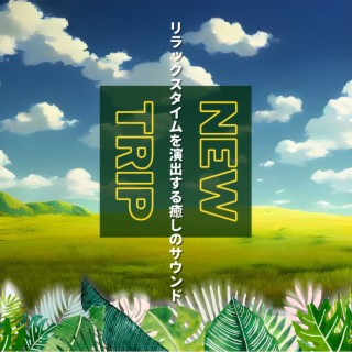 リラックスタイムを演出する癒しのサウンド