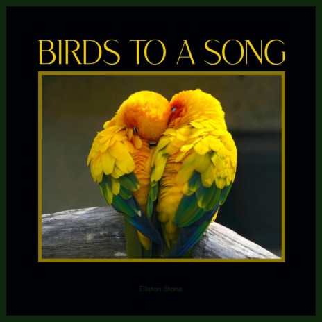 Birds to A Song | Boomplay Music