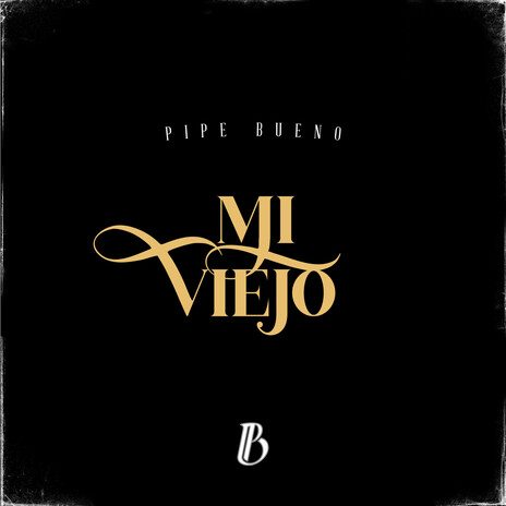 Mi Viejo | Boomplay Music