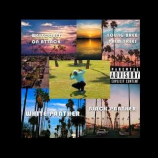 10 Of The Best West Coast Rap Album Covers