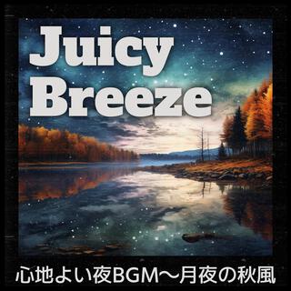 心地よい夜bgm〜月夜の秋風