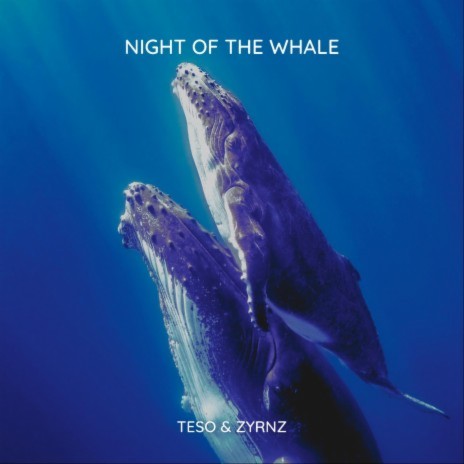 Night Of The Whale ft. ZYRNZ | Boomplay Music