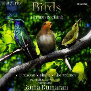 Birds for Flute Trio