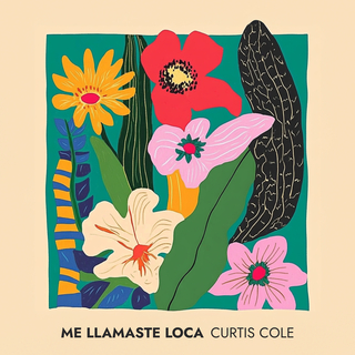 Me llamaste loca ft. Tula Ben Ari lyrics | Boomplay Music