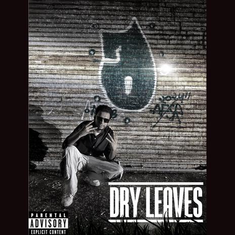 Dry Leaves | Boomplay Music