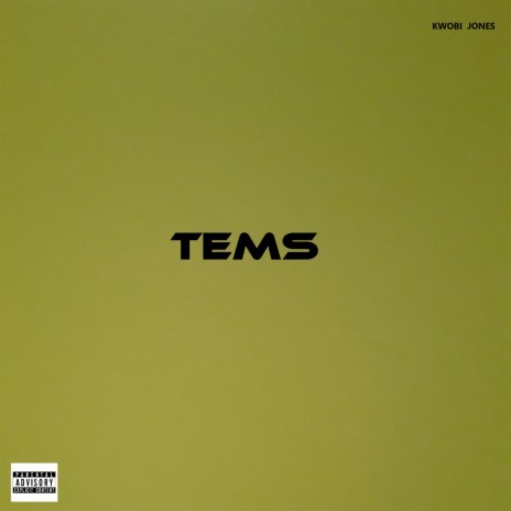 Tems | Boomplay Music