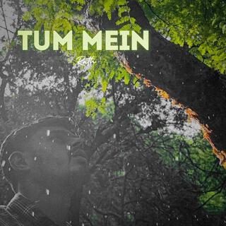 TUM MEIN lyrics | Boomplay Music