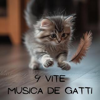 9 vite: Musica de gatti