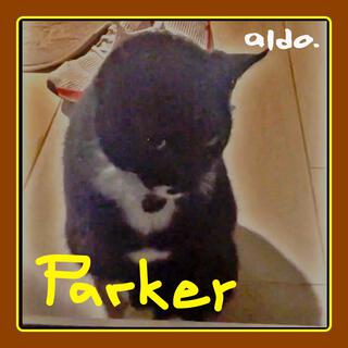 Parker