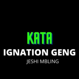 IGNATION GENG