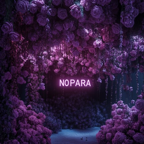 NO PARA ft. zanah | Boomplay Music