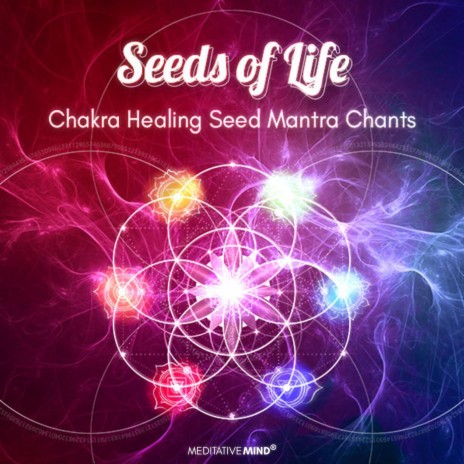 Throat Chakra Seed Mantra Chants | Boomplay Music