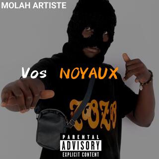 VOS NOYAUX