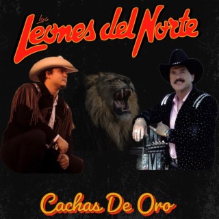 Los Leones Del Norte Songs MP3 Download, New Songs & New Albums | Boomplay