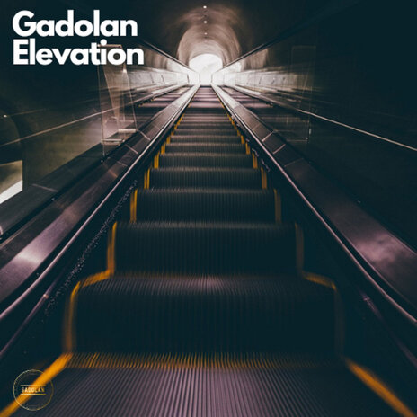 Elevation | Boomplay Music