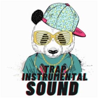 trap instrumental sound
