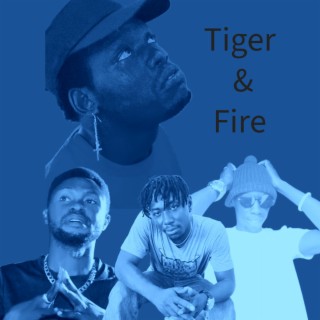 Tiger & Fire