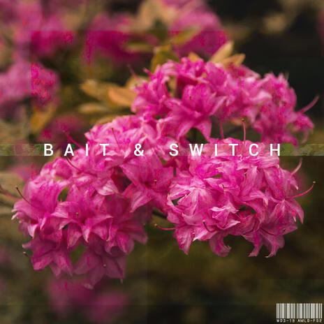 Bait & Switch | Boomplay Music