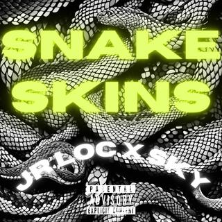 Snake Skins ft. Jr Loc lyrics | Boomplay Music