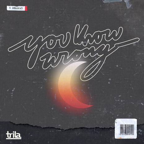 You Know Wrong | Boomplay Music