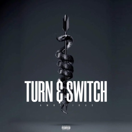 Turn & Switch | Boomplay Music